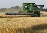 Україна намолотила 450 тис. тонн зерна