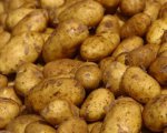 Україну чекає неврожай картоплі