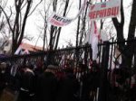 Буковинці у Києві мітингують за Юлю