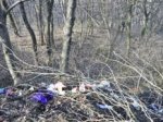У Чернівцях жінка закопала дитину в парку