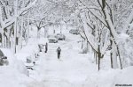 Снігопади повернуться на Буковину за тиждень