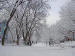 Погода у Чернівцях на середу, 13 лютого