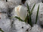 Погода у Чернівцях та області на завтра, четвер, 28 лютого