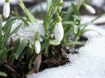 Погода у  Чернівцях та області на вихідні, 2 та 3 березня