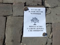 "Час" - проти варварської вирубки дерев в Чернівцях ФОТО