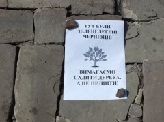 Дерева на Центральній площі в Чернівцях не затіняли пам"ятник, а просто всохли