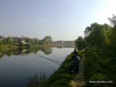 На Буковині і на орендованому ставі буде можливість рибалити