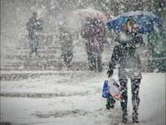 Буковинців попереджають, що погодні умови на території Румунії ускладнили рух автотранспорту