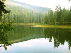 На Кіцманщині майже гектар земельної ділянки водного фонду повернуто державі