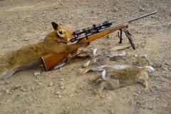 Хотин відкриває сезон полювання на зайців