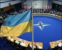 НАТО засуджує надмiрне використання сили українською владою супроти мирних демонстрантiв!