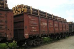 На Буковині прокуратура перевіряє експортерів лісу