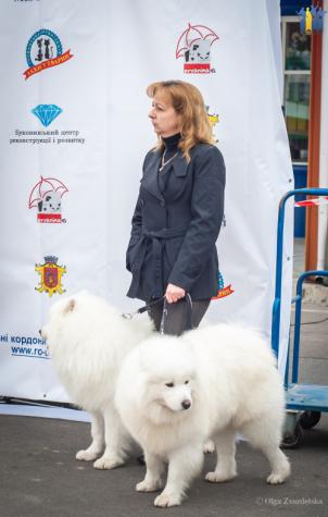 У Чернівцях відбувся фестиваль домашніх тварин