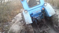 На Буковині в лісі загинув тракторист