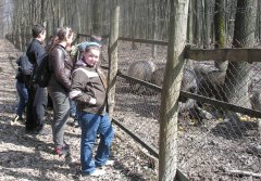 Хотинські лісівники влаштували для школярів знайомство з лісом