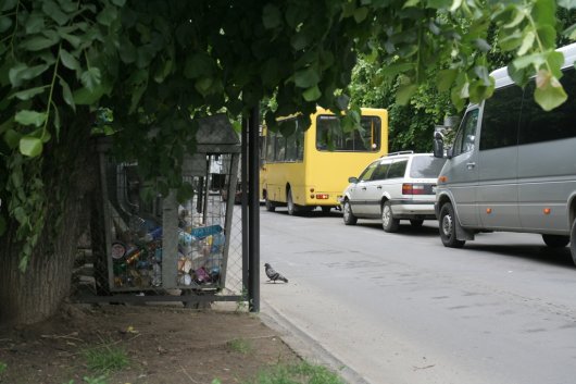 Чернівчан змушують викидати сміття, наражаючи їх на смертельну небезпеку