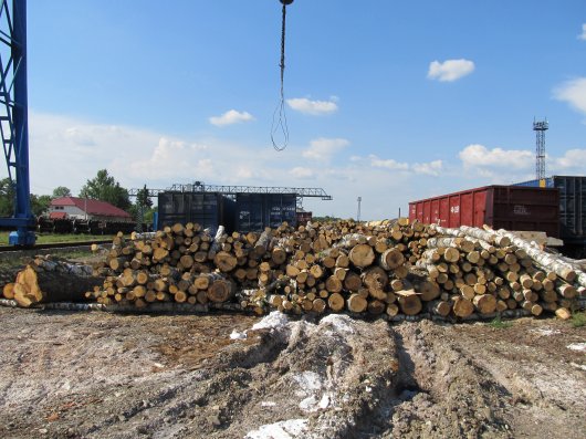 Чернівецькі митники затримали деревину, яку незаконно везли до Румунії