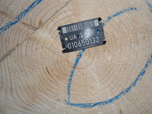 На Буковині з аукціону продали деревини на 8 мільйонів