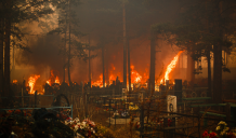 Природа бунтує проти Росії: пожежі, велика вода та нашестя саранчі