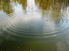 У Новоселицькому районі втопився чоловік