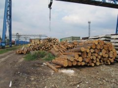 Буковинські митники знову попередили спробу незаконного експорту деревини до Румунії