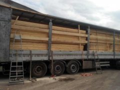 Буковинські митники завадили незаконному вивезенню 45 кубометрів лісу