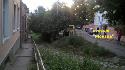 Горе-дороги та кози в самому центрі Чернівців