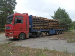Митники Буковини попередили чергову спробу незаконного експорту пиломатеріалів до Молдови 