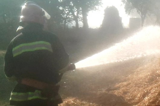 За останні 3 доби в Чернівецькій області виникло 8 пожеж