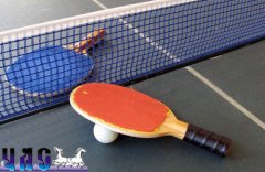 У Чернівцях відбудеться міжнародний турнір з настільного тенісу