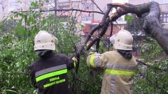Внаслідок негоди на Буковині знеструмлено 123 населених пункти