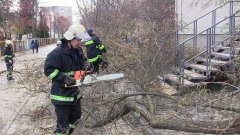 Негода на Буковині повалила 11 електроопор