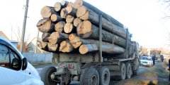 В Сторожинці затримали дві вантажівки з необробленим лісом