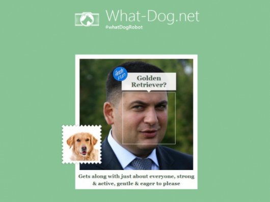 На яких собак схожі українські політики (за визначенням робота Microsoft)
