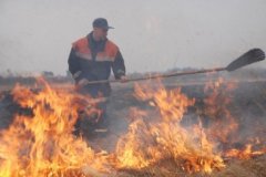 Пожежі на Буковині - через спалення сухої трави