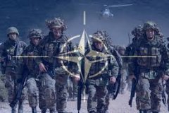 Буковинців-військовослужбовців запрошують на безкоштовні курси за фінансування НАТО