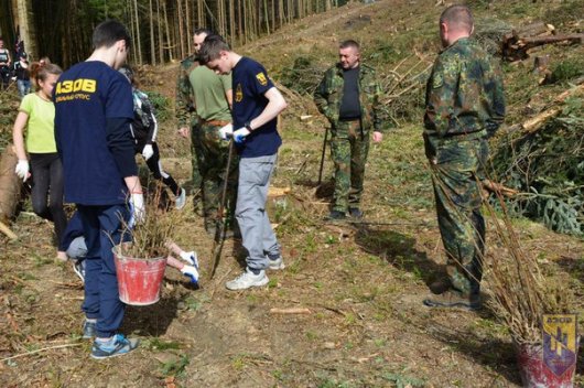 Буковинські активісти висаджують нові ліси