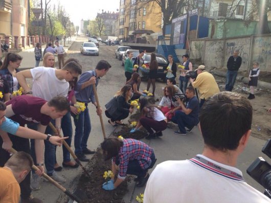 Буковинські студенти квітчають вулиці