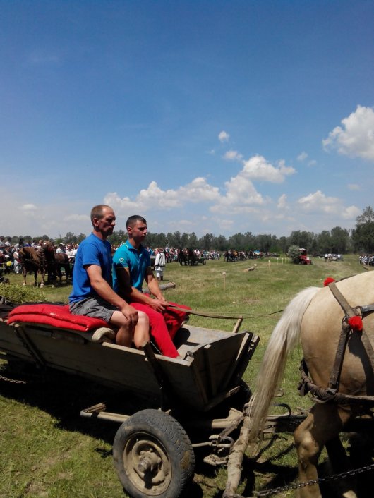 На Буковині відбувся кінний фестиваль «Коні мої, коні»