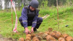 На Путильщині знешкоджено 50 протипіхотних мін часів першої світової війни