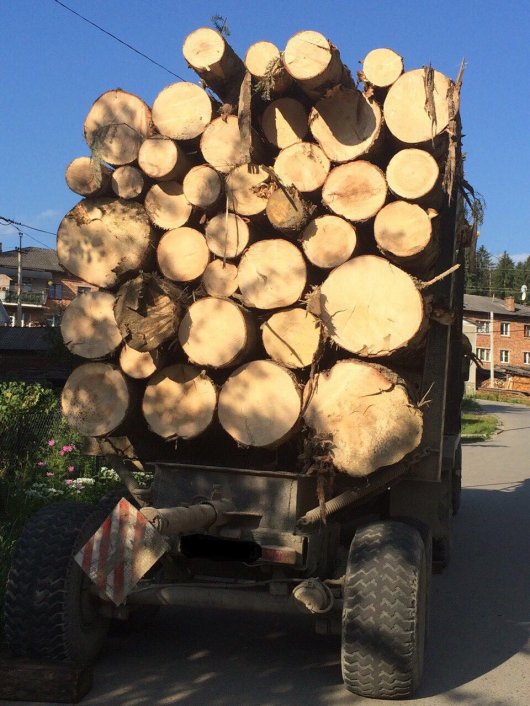 На Буковині припинено спробу чергового незаконного вивозу деревини