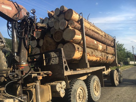 На Буковині СБУ затримала вантажівку з деревиною із підробленими документами 