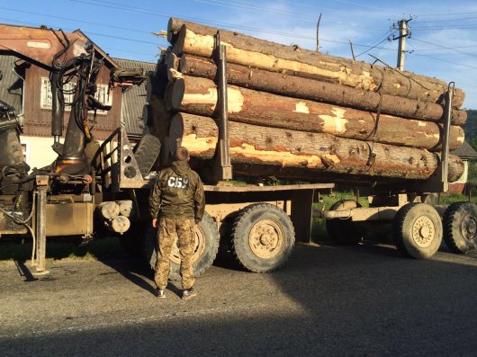 На Буковині СБУ затримала вантажівку з деревиною із підробленими документами 