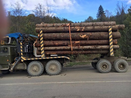 На Буковині СБУ затримала вантажівку, в якій незаконно перевозили лісодеревину