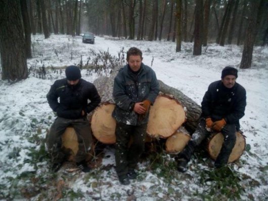 Влада не може — АТО допоможе. Солдати власноруч зупиняють вирубку лісів по Україні!