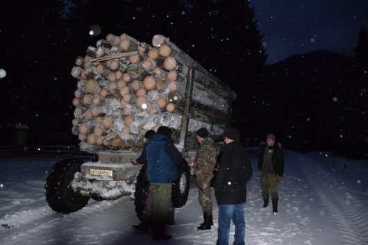 УНСОвці затримали "КамАЗ" з контрабандною деревиною