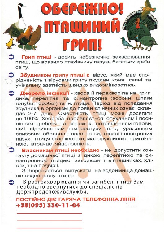 Чернівецьке обласне управління лісомисливського господарства нарівні з іншими службами стоїть на заваді поширення пташиного грипу