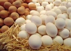 Чеський суд постановив: кидати яйцями в президента - не злочин