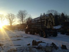 На Буковині СБУ затримала вантажівку, яка незаконно перевозила деревину