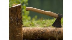 Прокуратура вимагає від ДП «Герцаївське державне спеціалізоване лісництво АПК» відшкодувати державі 530 тис. грн. збитків